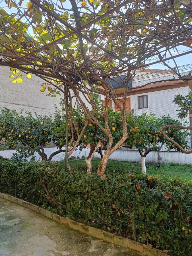 Carmela Capotosto Ferienhaus